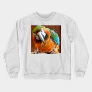 Macaw Crewneck Sweatshirt